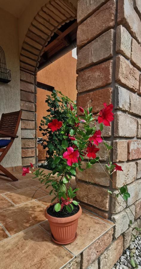 Mediterrania Apartment Кестхей Экстерьер фото